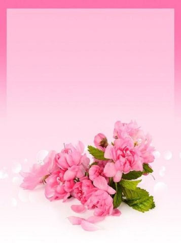 Pembe zeminde kırmızı çiçekler