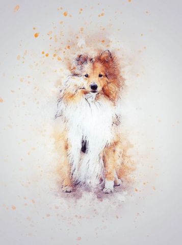 şirin köpek