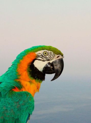 305