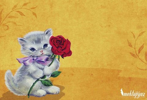 çiçek tutan şirin kedi