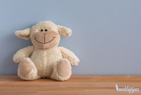 Peluş Ayıcık