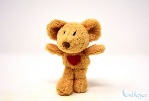 Peluş Ayıcık