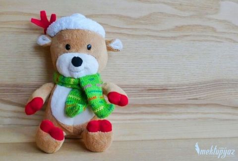 Ahşap Zeminde Muhteşem Peluş Ayıcık