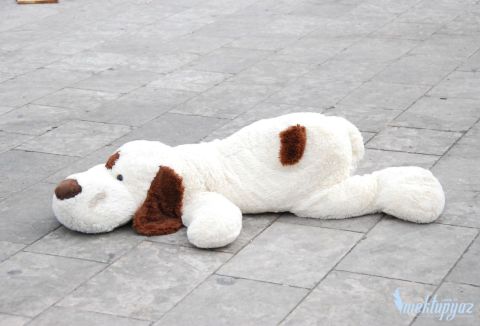 Yerde Yatan Peluş Köpek