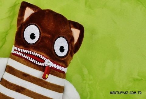 Peluş Kedi