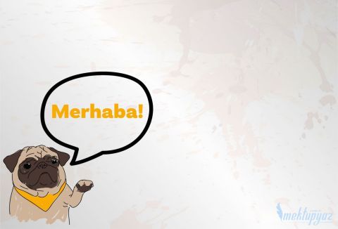 Merhaba diyen köpek