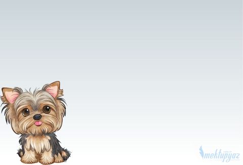 Şirin köpek
